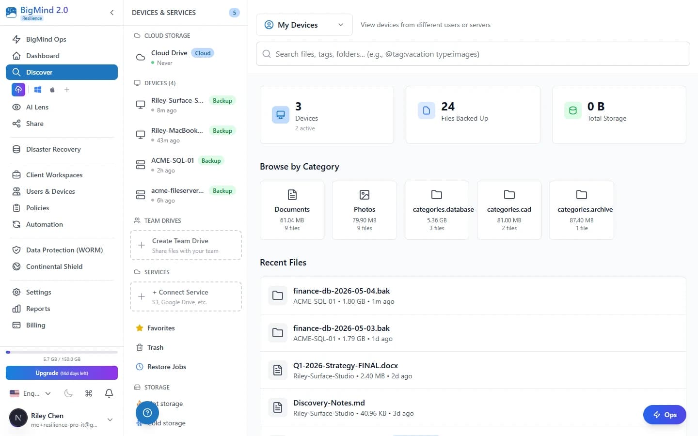 Browsing backed-up files in BigMind — find the file and download just that one item