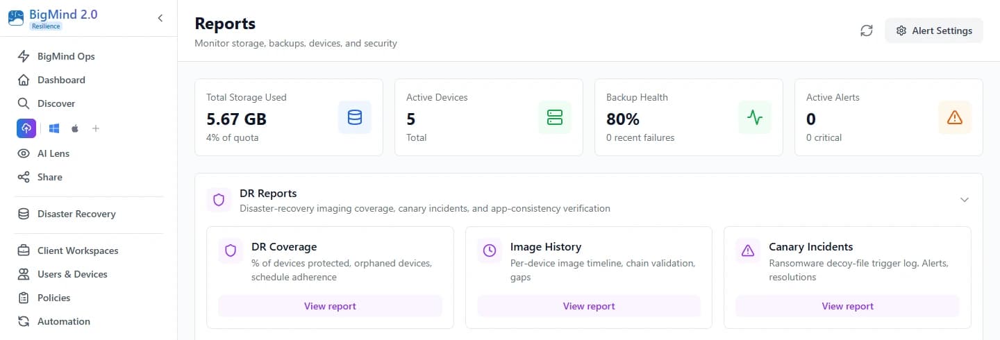 BigMind Resilience Reports hub — KPI summary cards and visual storage charts