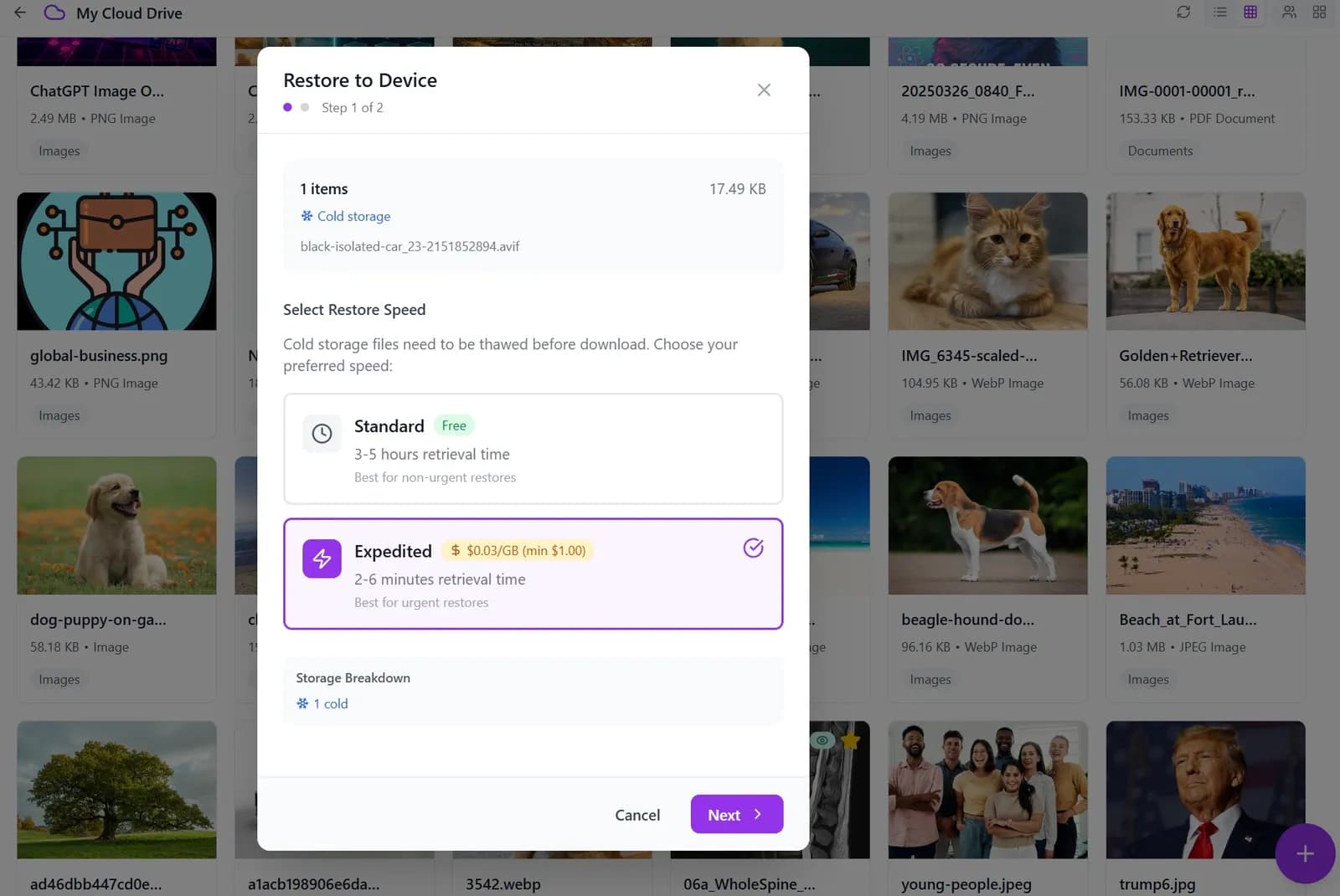 Expedited Restore dialog — restore cold files in 2-6 minutes