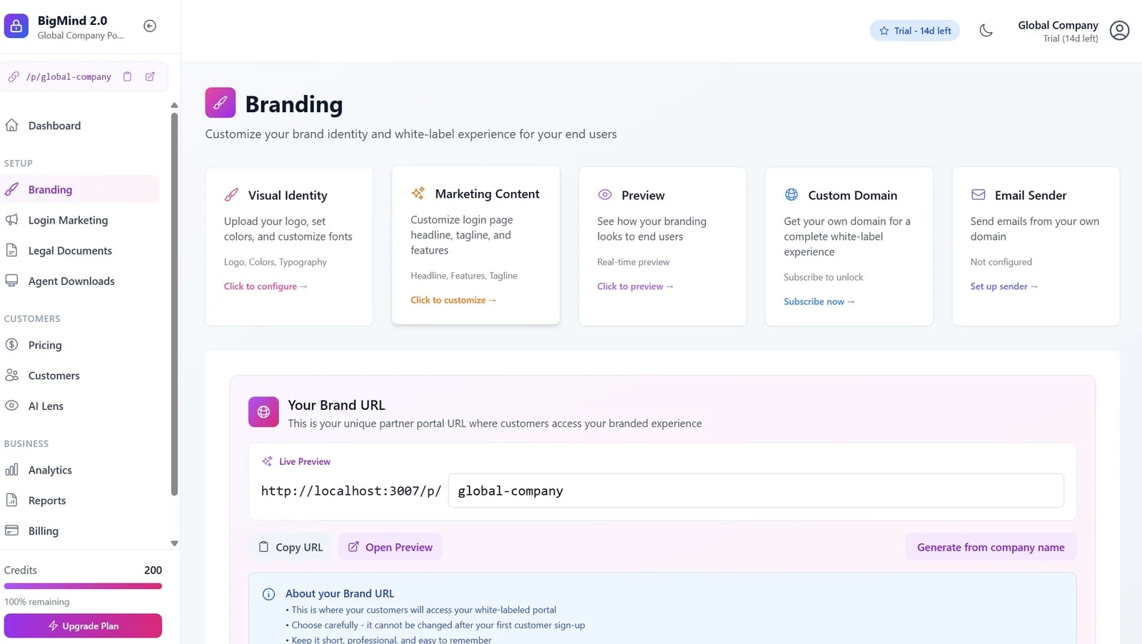 A partner-branded BigMind Resilience dashboard - your logo, colors and domain