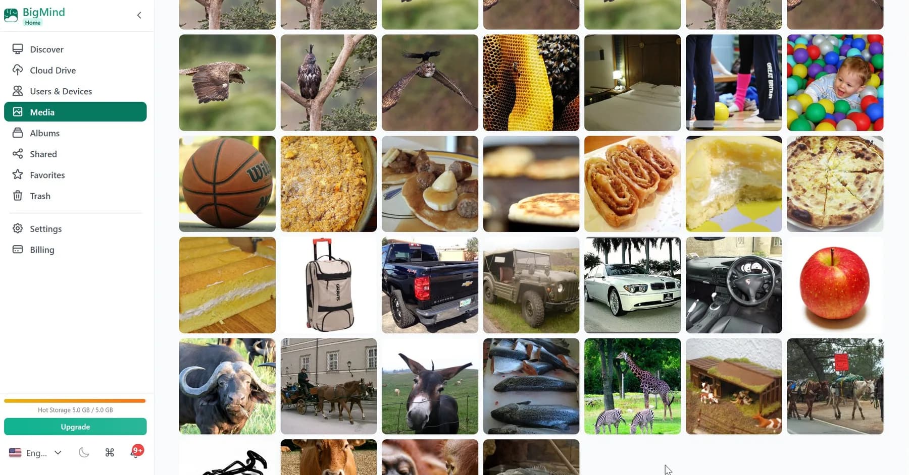 The BigMind Home web console in a desktop browser, showing the sidebar and a grid of backed-up photos