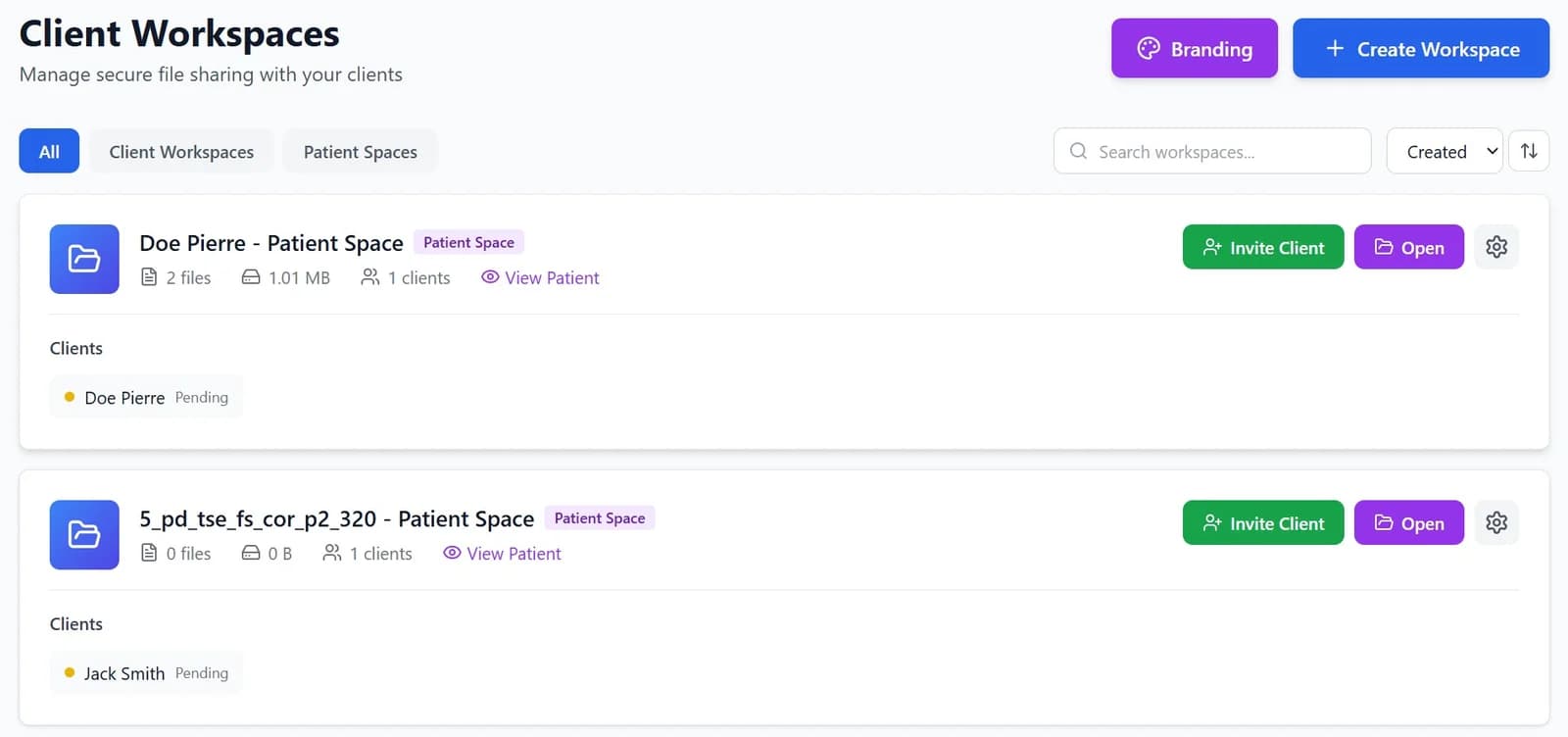 BigMind Client Workspaces for Healthcare Practices