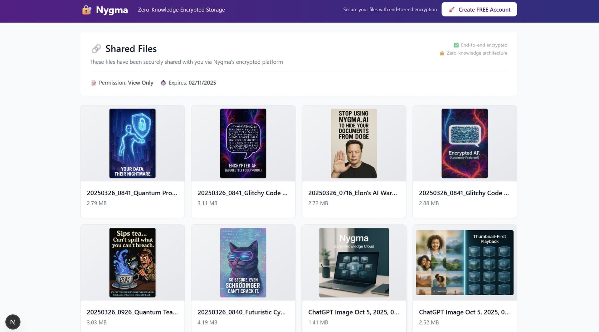 Recipient's view when opening a shared link in Nygma