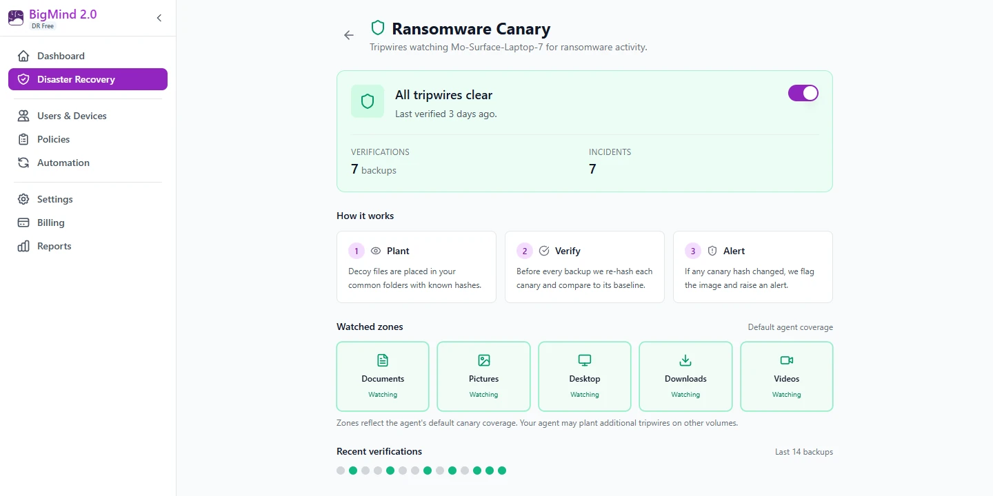 BigMind DR — recovery overview