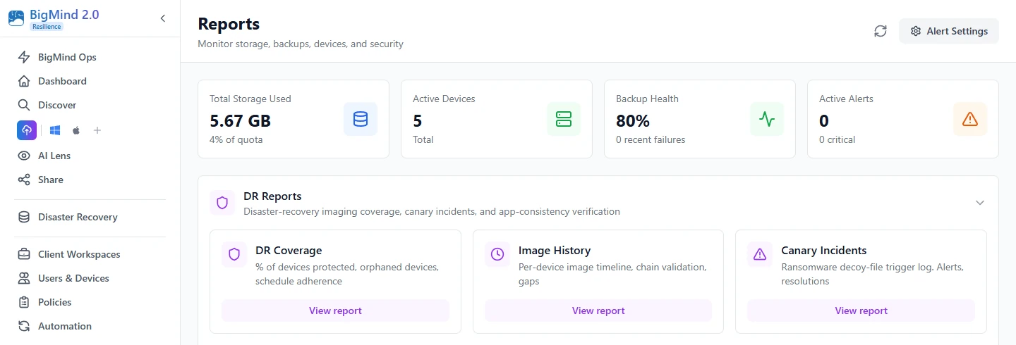 BigMind Resilience — reports